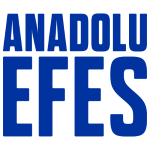 AEFES logo