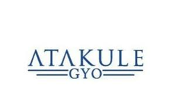 AGYO logo