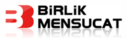BRMEN logo