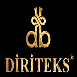 DIRIT logo
