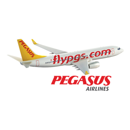 PGSUS logo