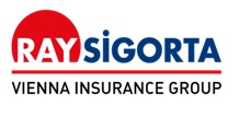 RAYSG logo