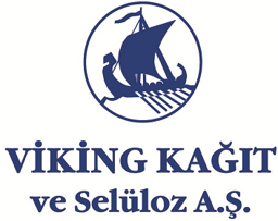 VKING logo